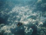 Unter Wasser