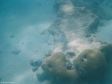 Unter Wasser