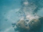 Unter Wasser