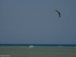 Kitesurfer