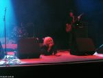 Gitane Demone