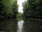 Oker im Bürgerpark