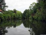 Oker im Bürgerpark