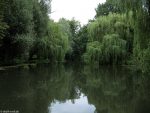 Oker im Bürgerpark