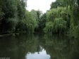 Oker im Bürgerpark