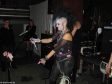 Elvira and the Bats