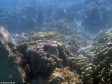 Unter Wasser