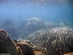 Unter Wasser