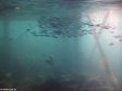 Unter Wasser