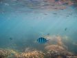 Unter Wasser