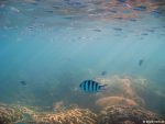 Unter Wasser