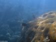 Unter Wasser