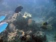 Unter Wasser