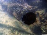 Unter Wasser