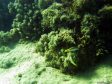 Unter Wasser