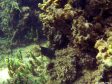 Unter Wasser