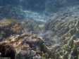 Unter Wasser