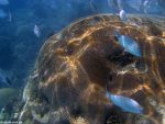 Unter Wasser