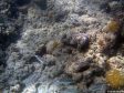 Unter Wasser