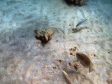Unter Wasser