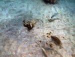 Unter Wasser