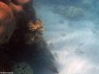 Unter Wasser