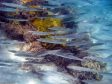 Unter Wasser