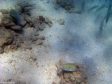 Unter Wasser