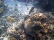 Unter Wasser