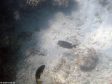 Unter Wasser