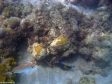 Unter Wasser