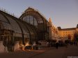 Palmenhaus