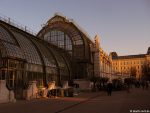 Palmenhaus