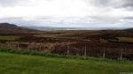 Dornoch Firth Viewpoint