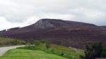 Dornoch Firth Viewpoint