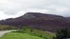 Dornoch Firth Viewpoint