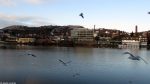 Blick aus dem Botelfenster