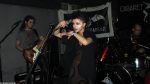 Cabaret Grey