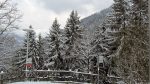 Winter Wonderland
