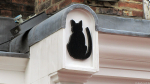 Katzenskulptur