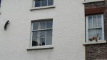 Katzenskulpturen
