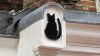 Katzenskulptur