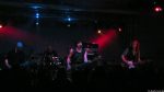Chameleons Vox
