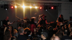 Chameleons Vox