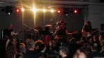 Chameleons Vox
