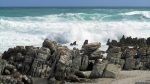 Am Cape Agulhas