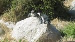 Pinguine in Simon\'s Town