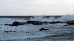 Atlantikküste am Kap