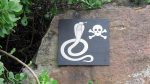 Giftschlangen gibt\'s hier auch...