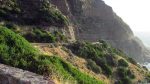 Am Chapman\'s Peak